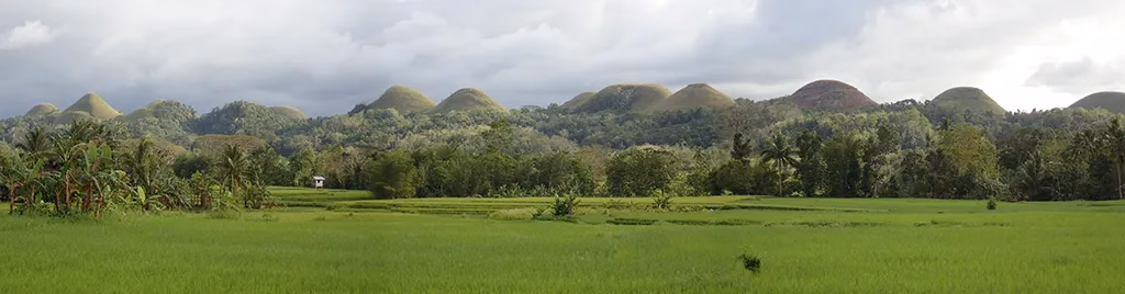 The Chocolate Hills of Bohol, appearing brown and dome-shaped during the dry season.