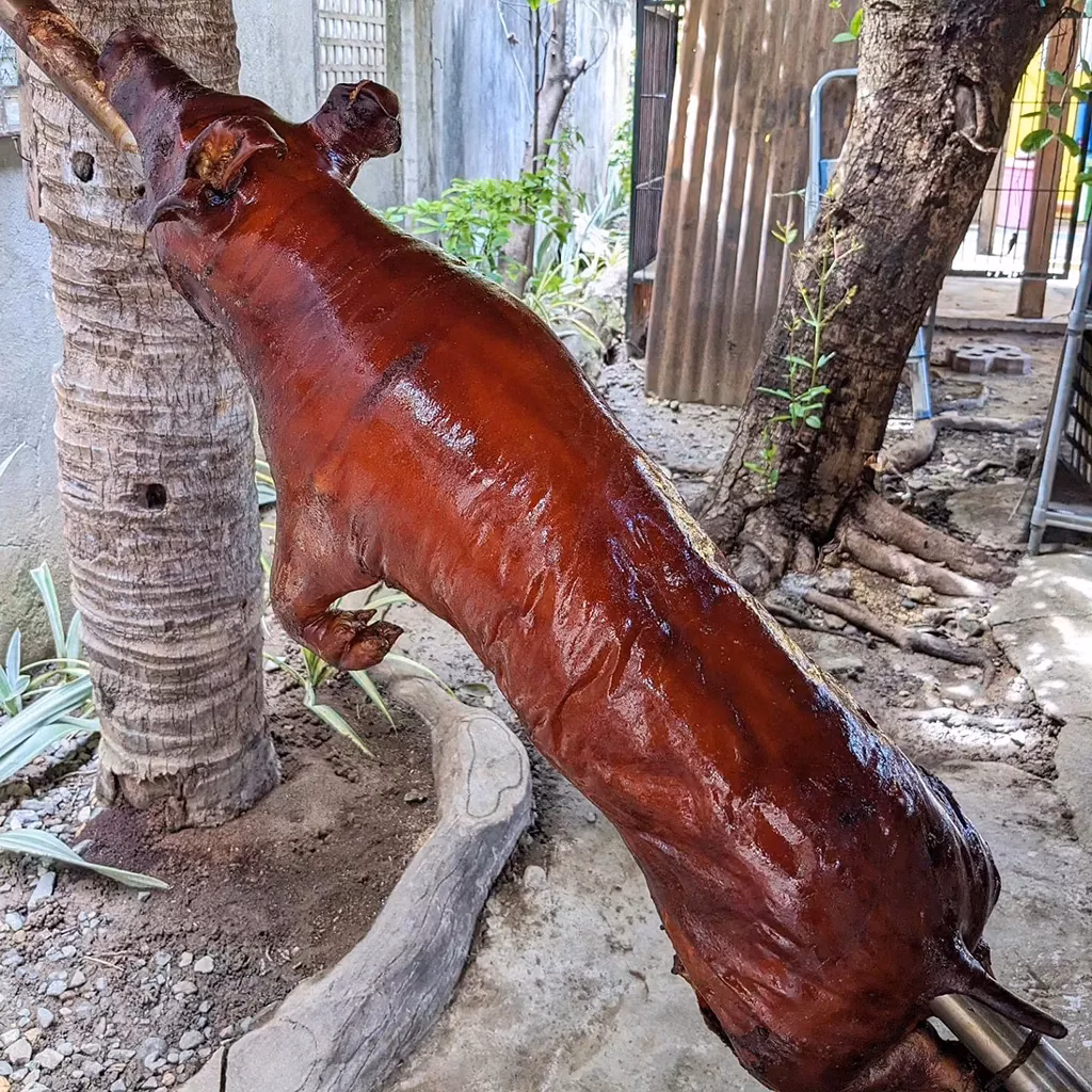 Cebu's famous lechon, roasted to perfection, served on a platter with crispy skin.