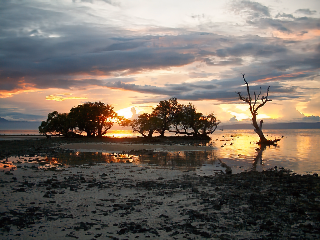 Sunset over a small mangrove on Siquijor Island at sunset with calm reflective water, dramatic clouds, and silhouetted trees at low tide.