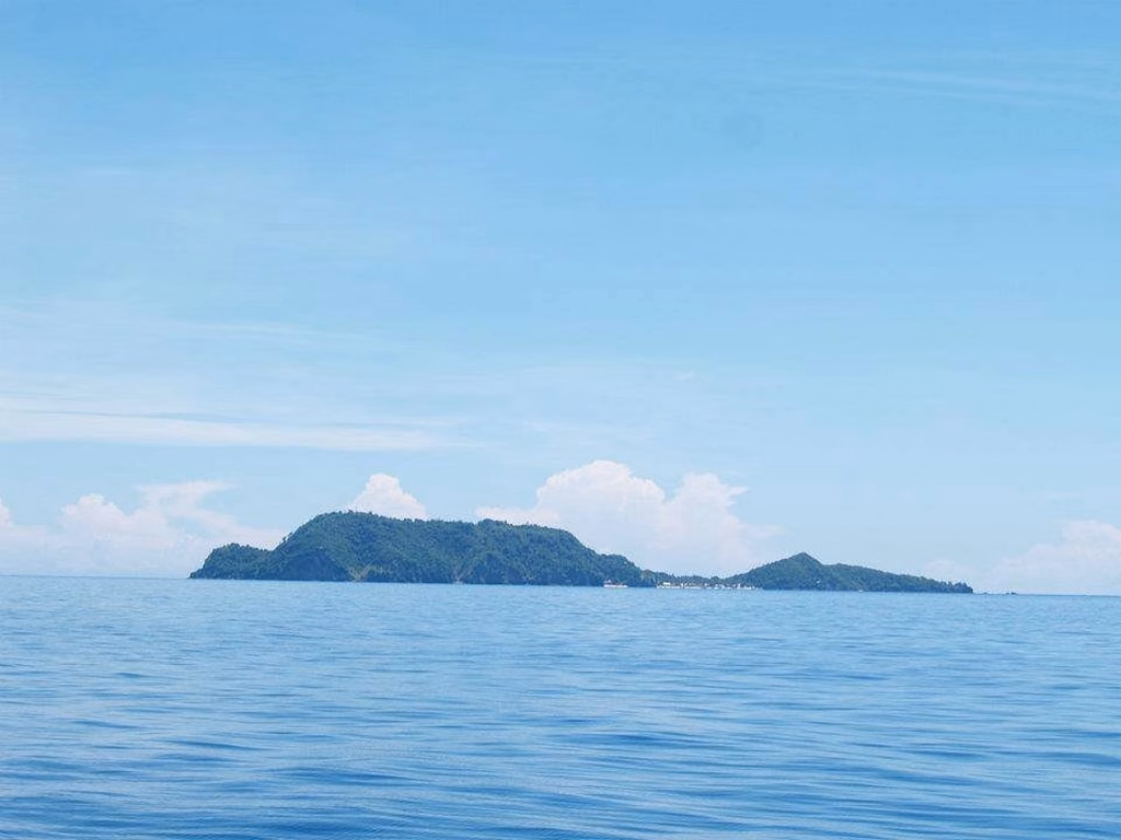 Apo Island viewed from the sea off Dauin, Negros Oriental, Philippines, showing the island's forested twin peaks rising above the calm blue waters of the Mindanao Sea, with the small village visible between the hills.