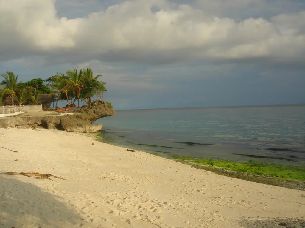 anda beach bohol low tide waterline philippines