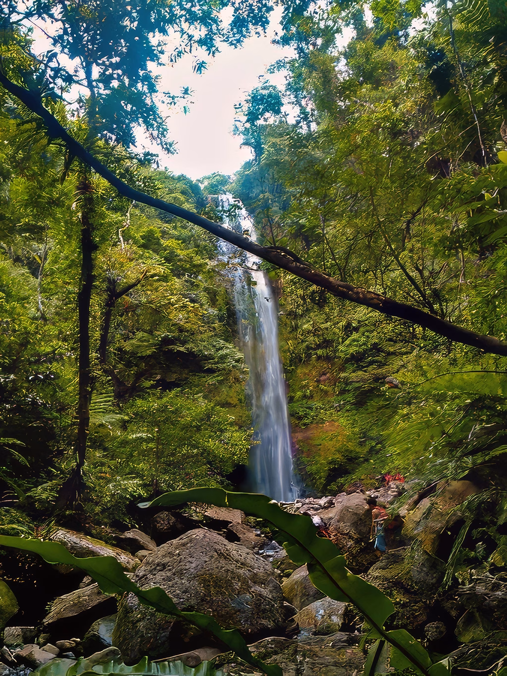 Balang Falls of Mt. Isarog: a stunning, secluded waterfall with lush greenery.